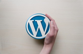 SEO Wordpress – 5 wskazówek pozycjonowania stron w Wordpressie